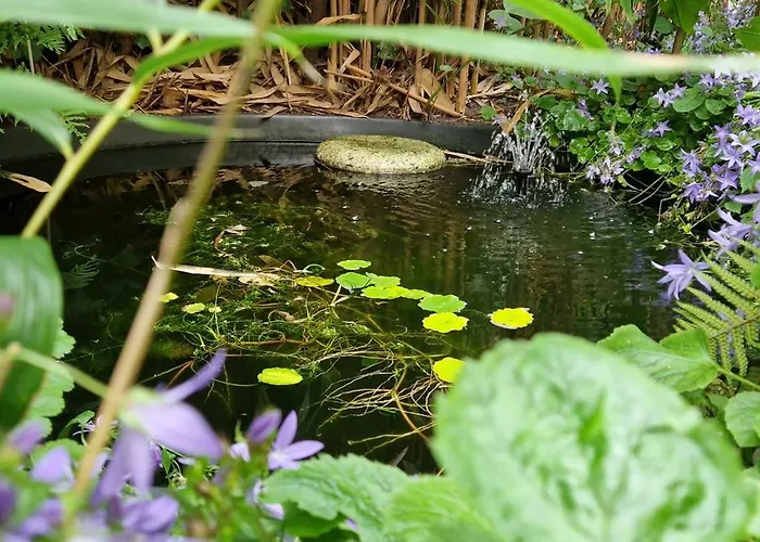 Courtyard House Near Center And Apartamento Haia