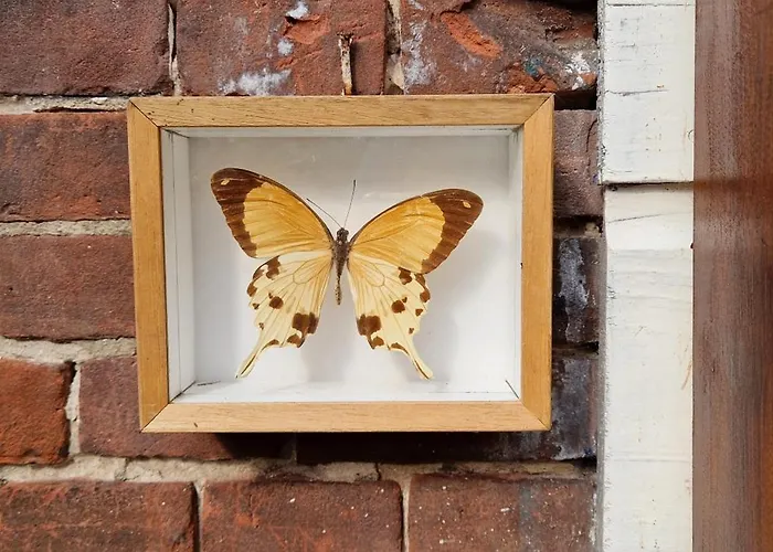Courtyard House Near Center And Apartamento