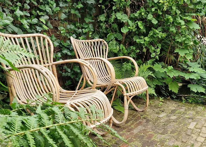 Courtyard House Near Center And * Haia