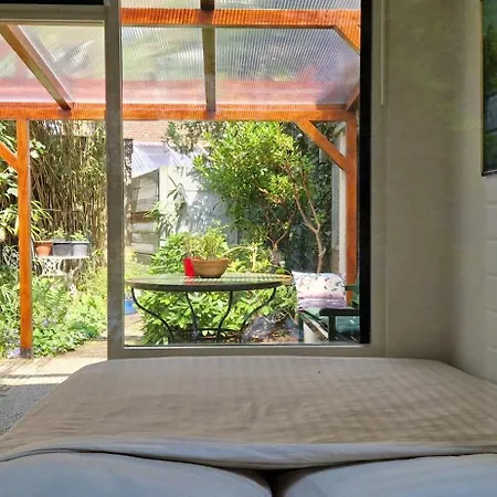 Courtyard House Near Center And Apartment