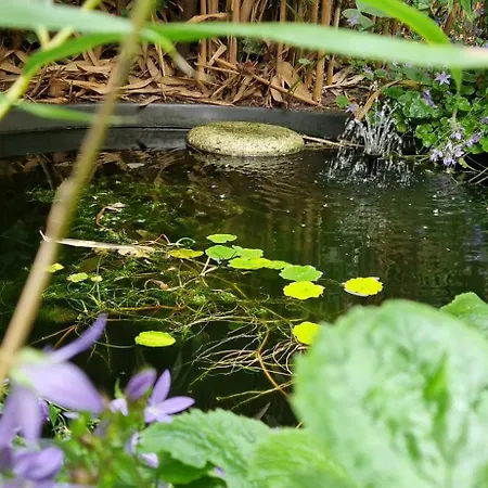 Courtyard House Near Center And Appartement La Haye