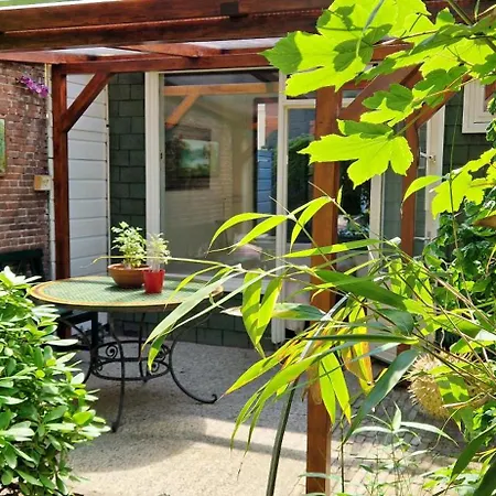 Courtyard House Near Center And *