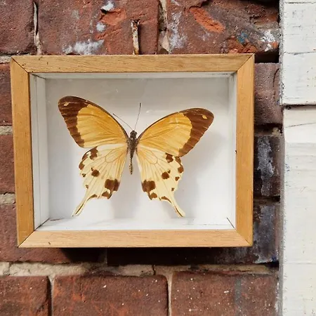 Courtyard House Near Center And Apartment