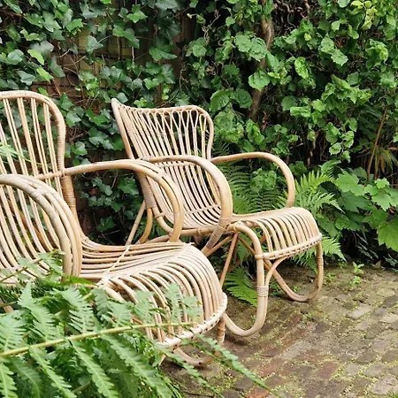 Courtyard House Near Center And * The Hague