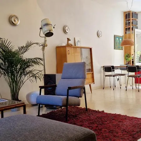 Courtyard House Near Center And * האג